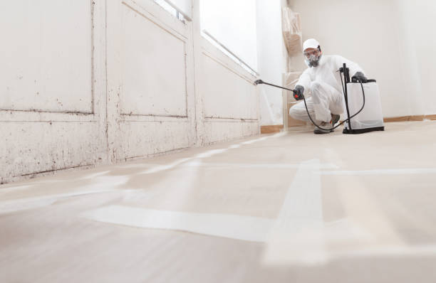 24/7 Emergency Mold Remediation experts in Lexington, TN